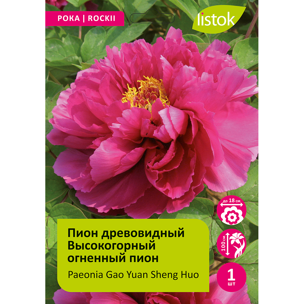 Пион древовидный Высокогорный огненный пион 1шт /Paeonia Gao Yuan Sheng Huo (Гао Юань Шэн Хо)