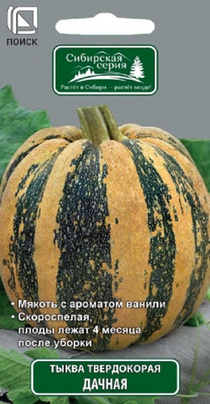 Тыква твердокорая Дачная 10шт  /10