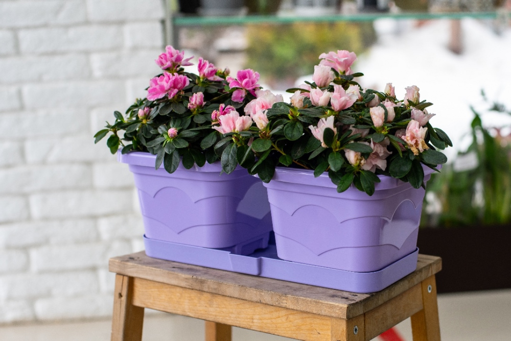 Горшок пластиковый  ВАЛЕНСИЯ ДУЭТ 2*2,9л лаванда /1