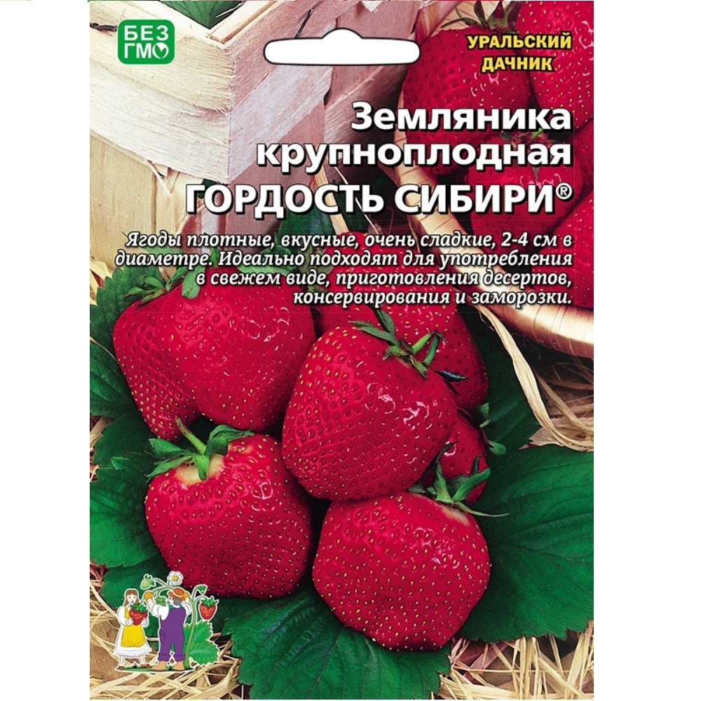 Земляника Гордость Сибири крупноплодная  10 шт/10