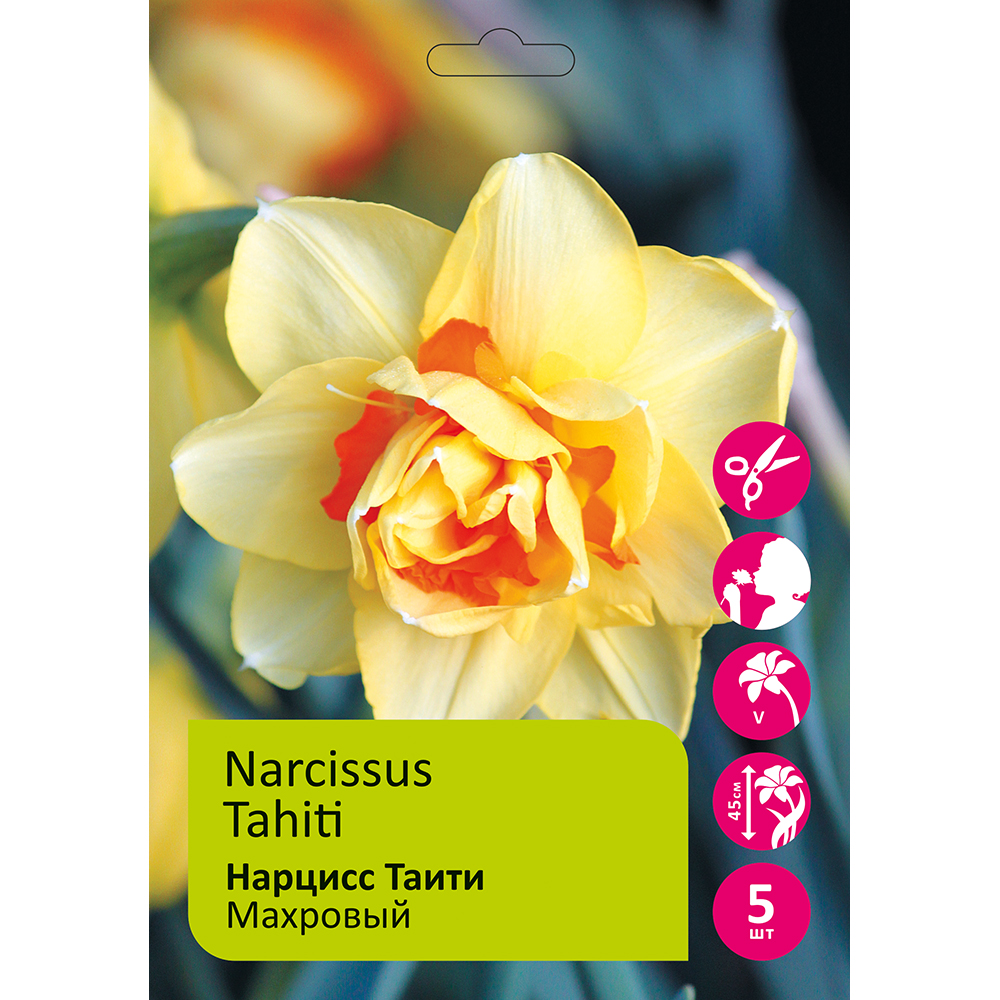 Нарциссы Таити махровый 5шт 14/16 /Narcissus Tahiti /1
