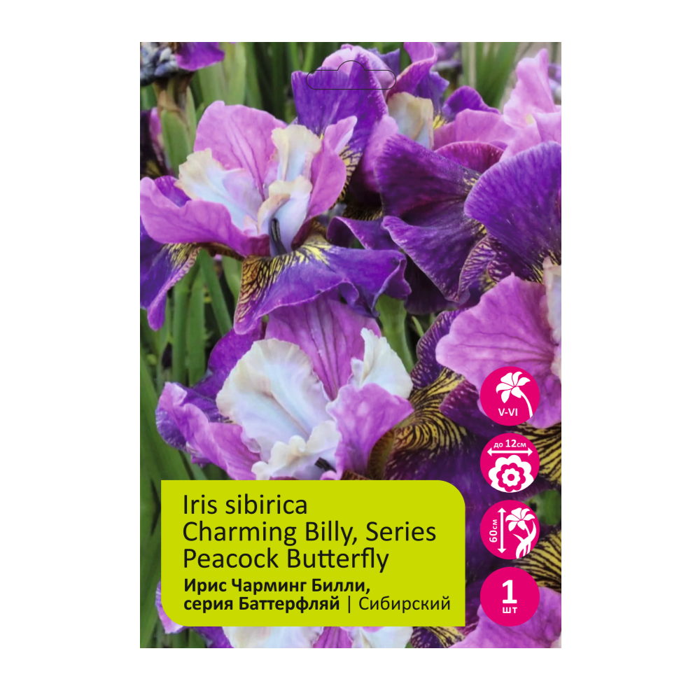 Ирис Чарминг Билли Баттерфляй Пикок 1шт/Peacock Butterfly Charming Billy