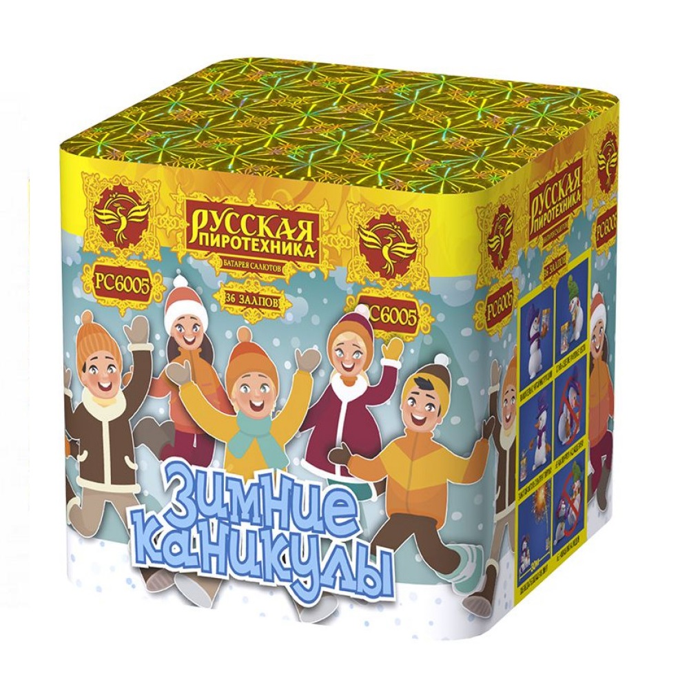 Салют ЗИМНИЕ КАНИКУЛЫ /18