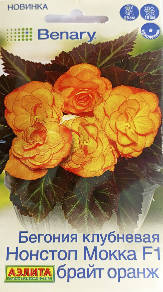 Бегония Нонстоп мокка F1 брайт оранж клубневая   5шт/10