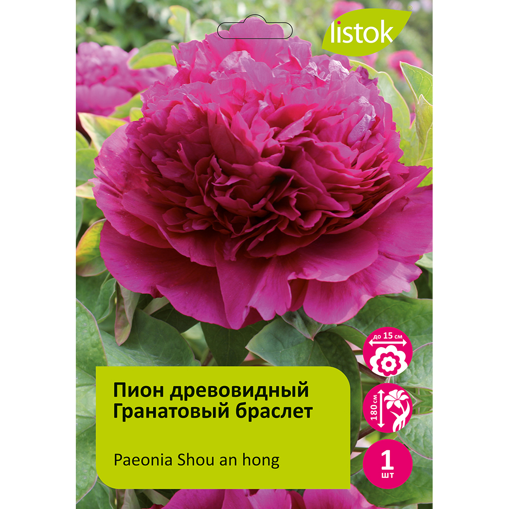 Пион древовидный Гранатовый браслет 1шт/Paeonia Shou an hong (First red) (Шоу Ан Хун)