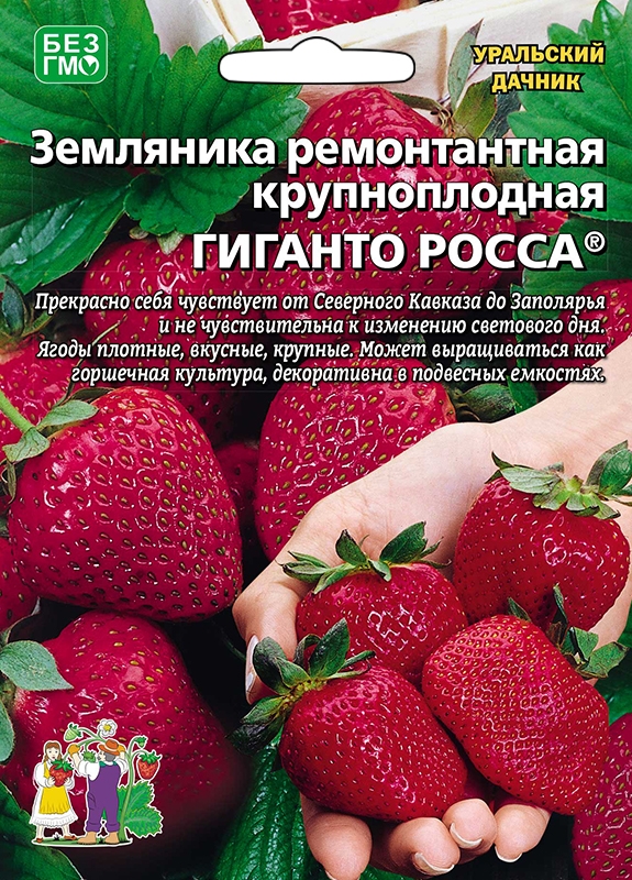 Земляника Гиганто Росса 10шт/10