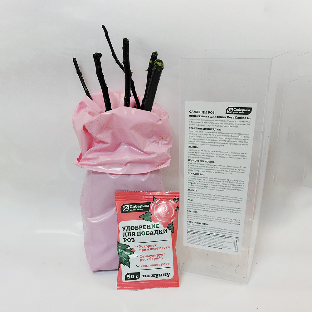 Роза Андре Брише флорибунда 1шт /12