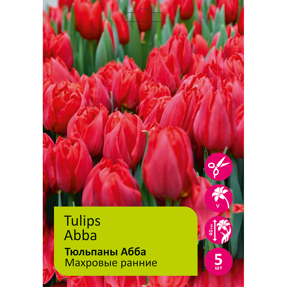Тюльпаны Абба 5шт махровый ранний 12/+/Tulip Abba