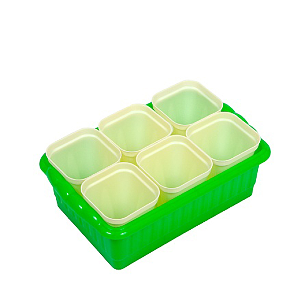 Ящик для рассады ДОМ И ДАЧА 6шт. 0,25л  /