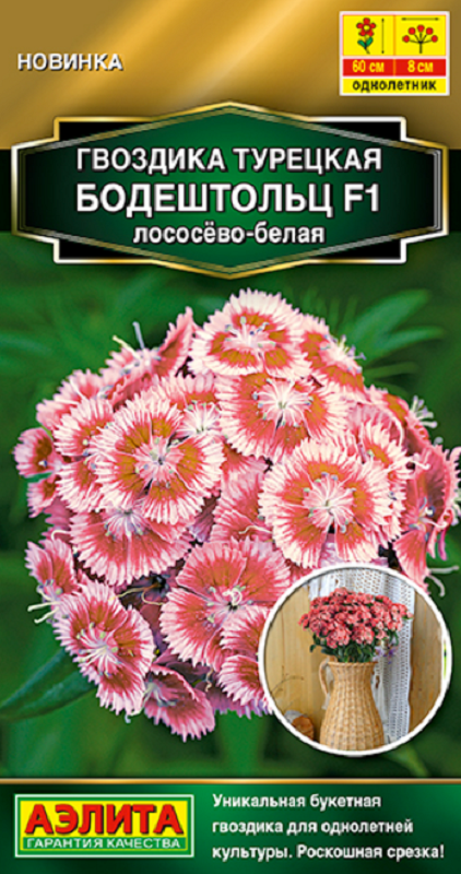 Гвоздика турецкая Бодештольц F1 лососёво-белая 7шт /10
