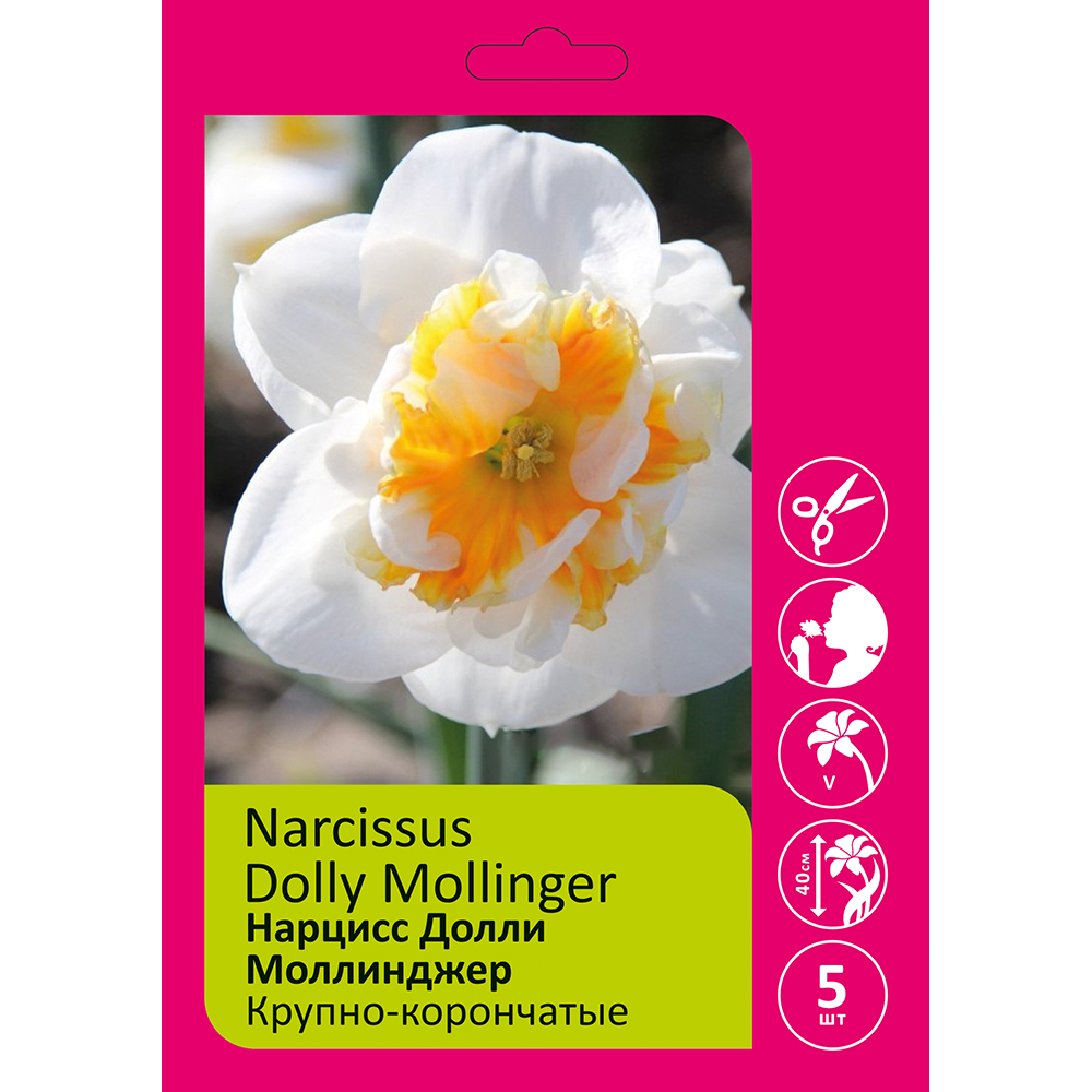 Нарциссы Долли Моллинджер 5шт 14/16 /NARCISSUS DOLLY MOLLINGER
