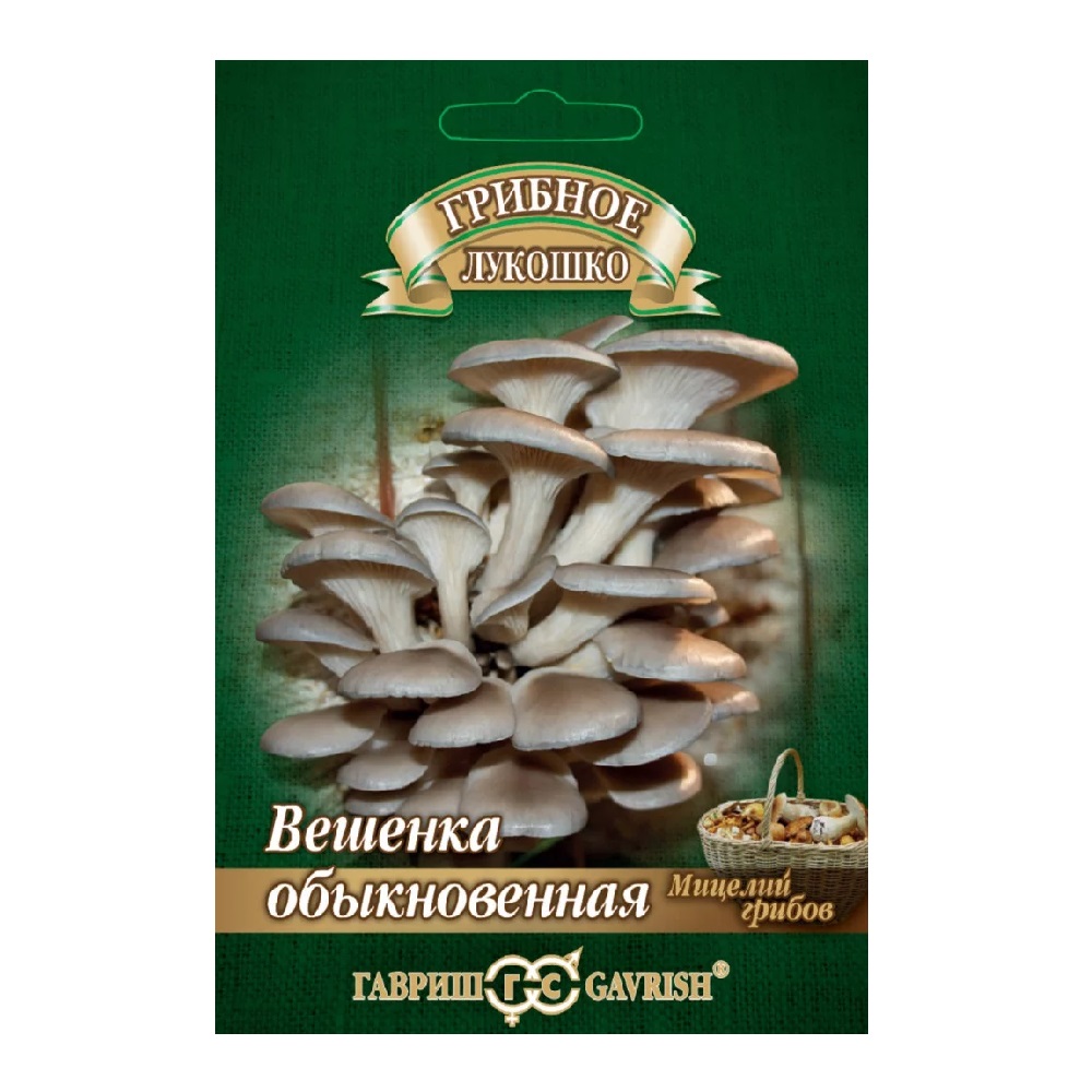 Грибы Вешенка Обыкновенная на древесной палочке  12шт/5/10