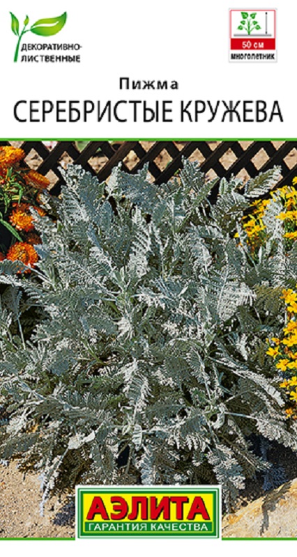 Пижма Серебристые кружева 5шт /10