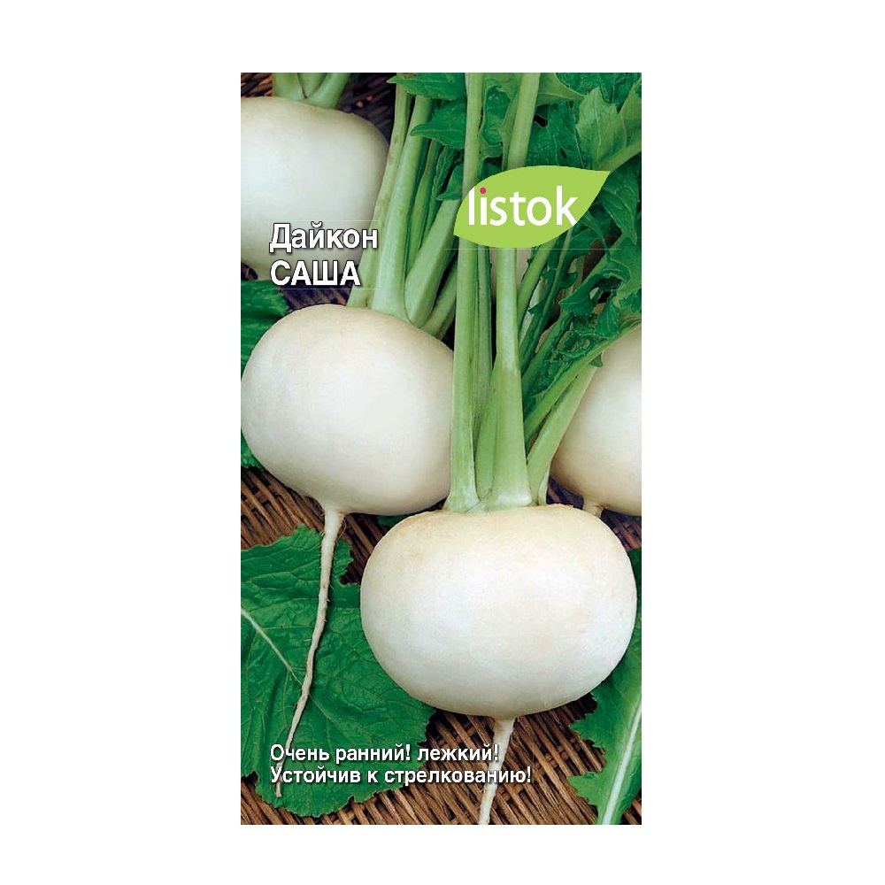 Дайкон Саша  1гр/10
