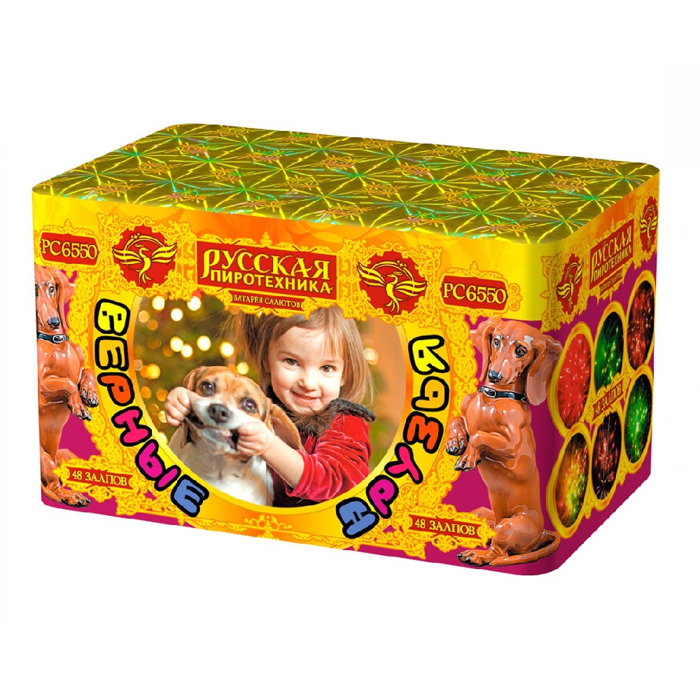 Салют ВЕРНЫЕ ДРУЗЬЯ /8