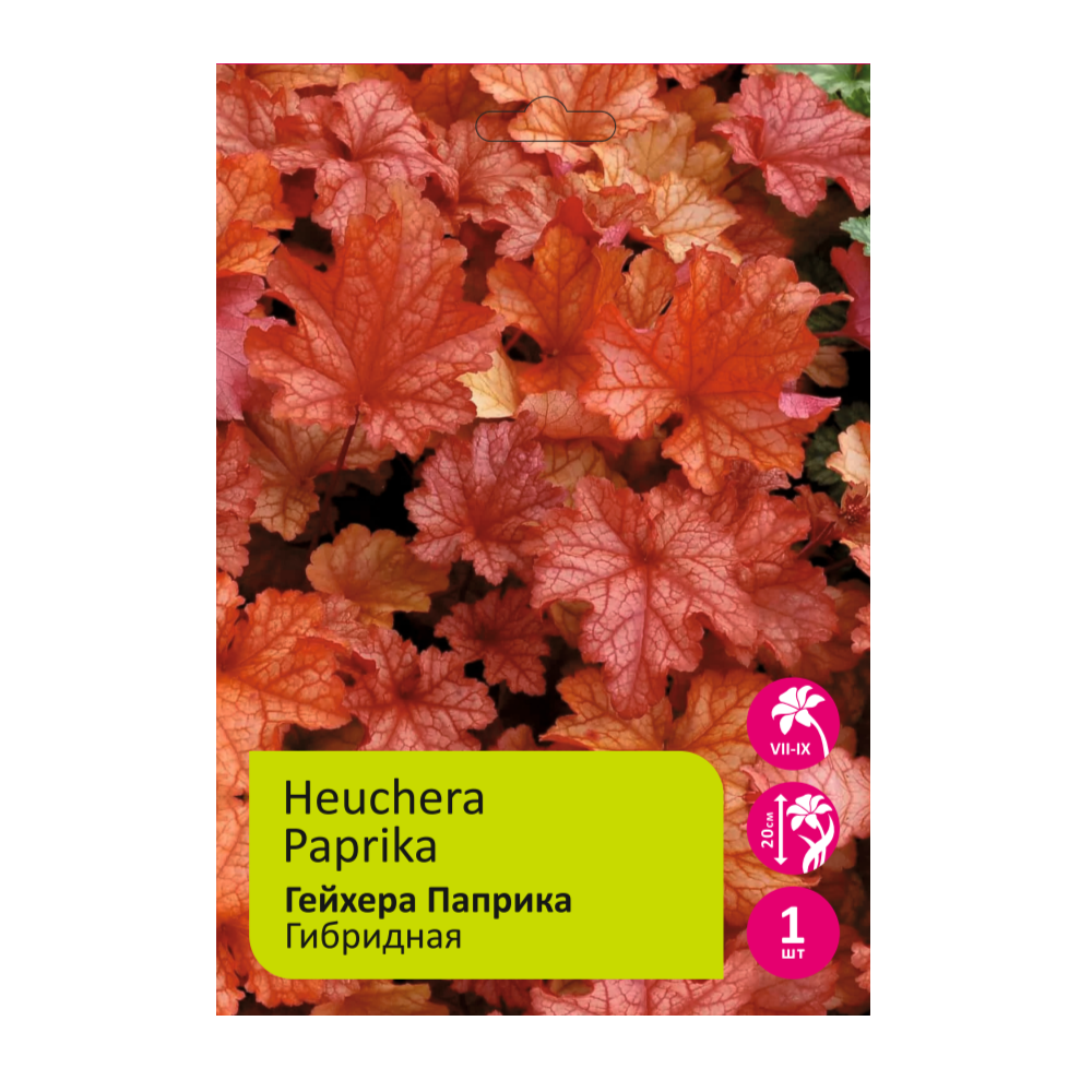 Гейхера Паприка 1шт /Heuchera Paprika