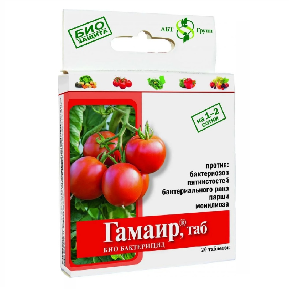 ГАМАИР таб 20шт/100