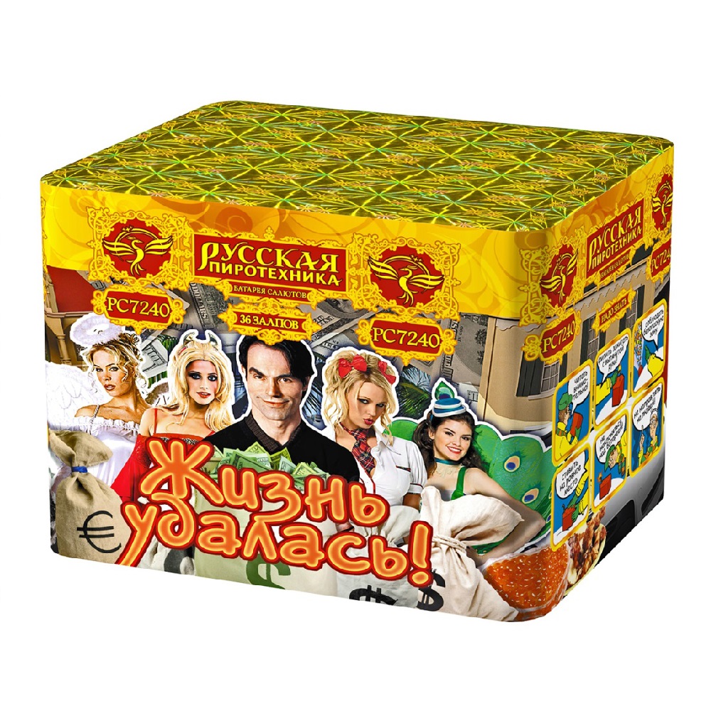 Салют ЖИЗНЬ УДАЛАСЬ  / 6