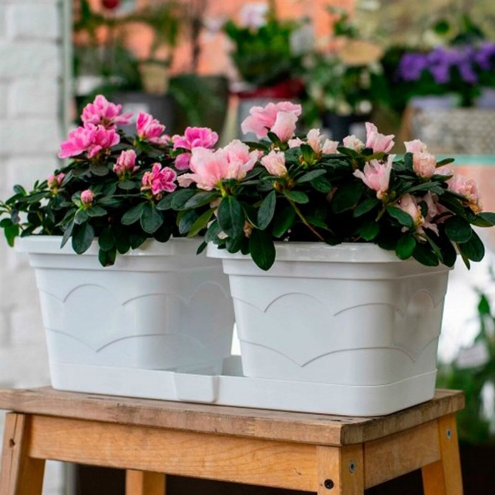 Горшок пластиковый  ВАЛЕНСИЯ ДУЭТ 2*2,9л белый /1