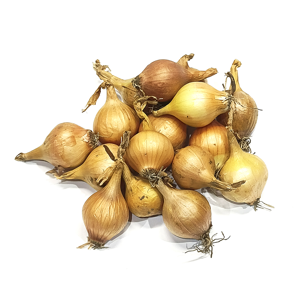 Лук-севок  Дедуля (21/24)  10кг +/-10%