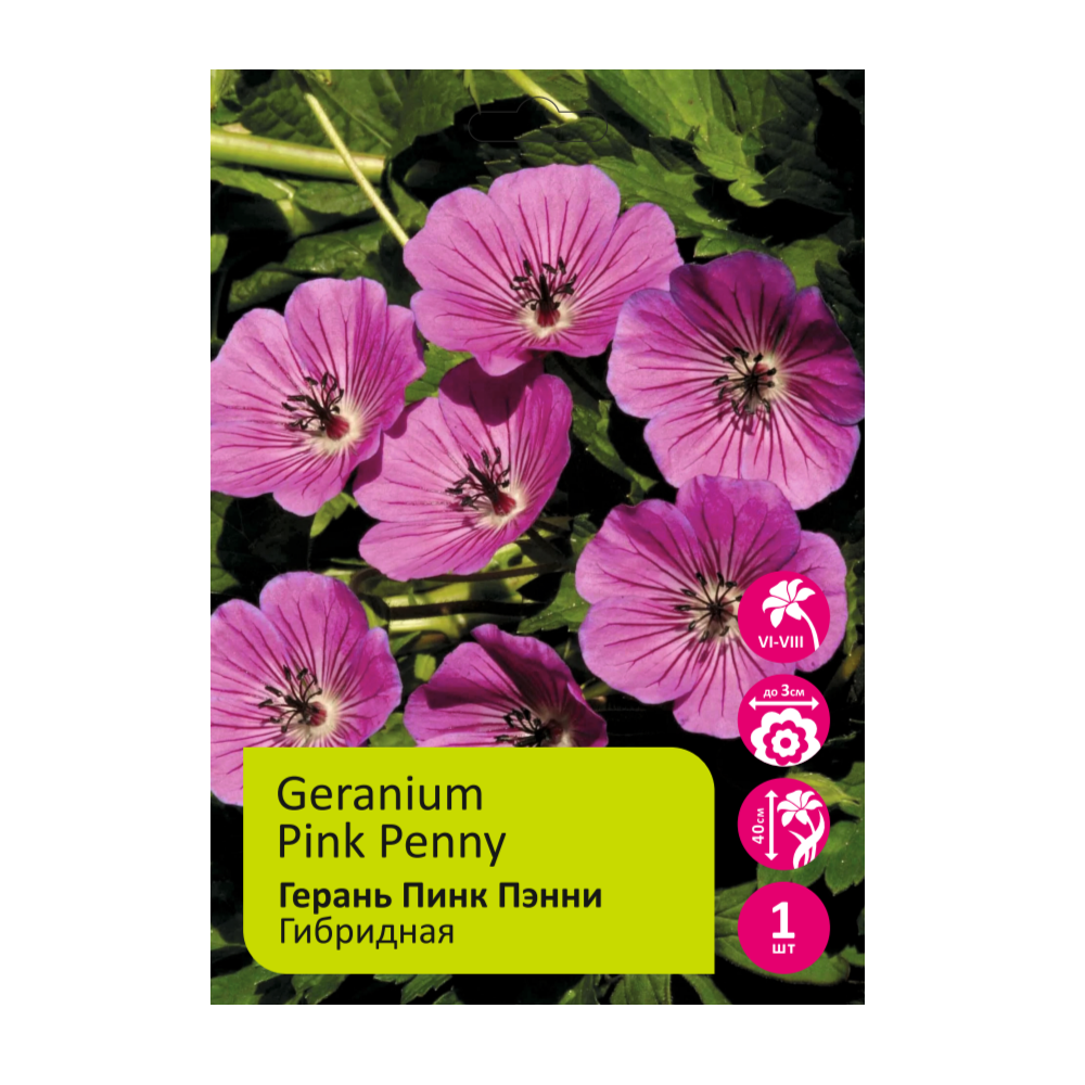 Герань Пинк Пэнни 1шт /Geranium Pink Penny
