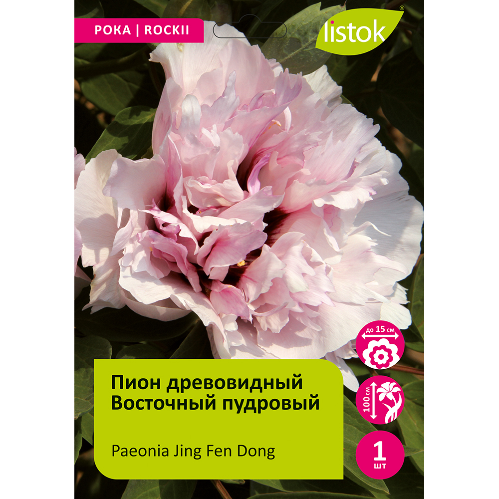 Пион древовидный Восточный пудровый 1шт/Paeonia Jing Fen Dong (Цзин Фэнь Дон)