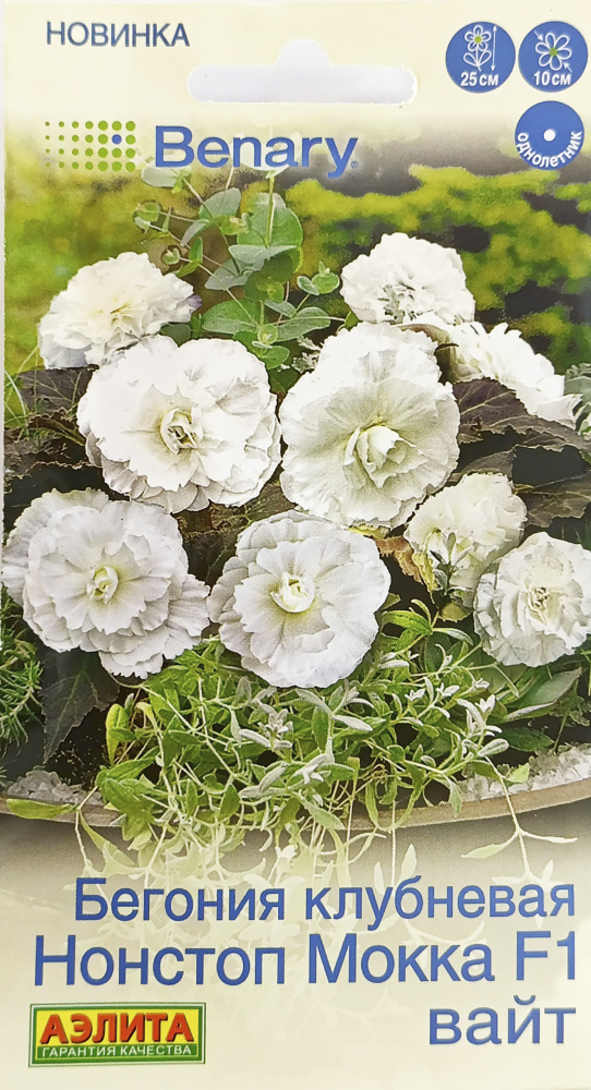 Бегония Нонстоп мокка F1 вайт клубневая   5шт/10