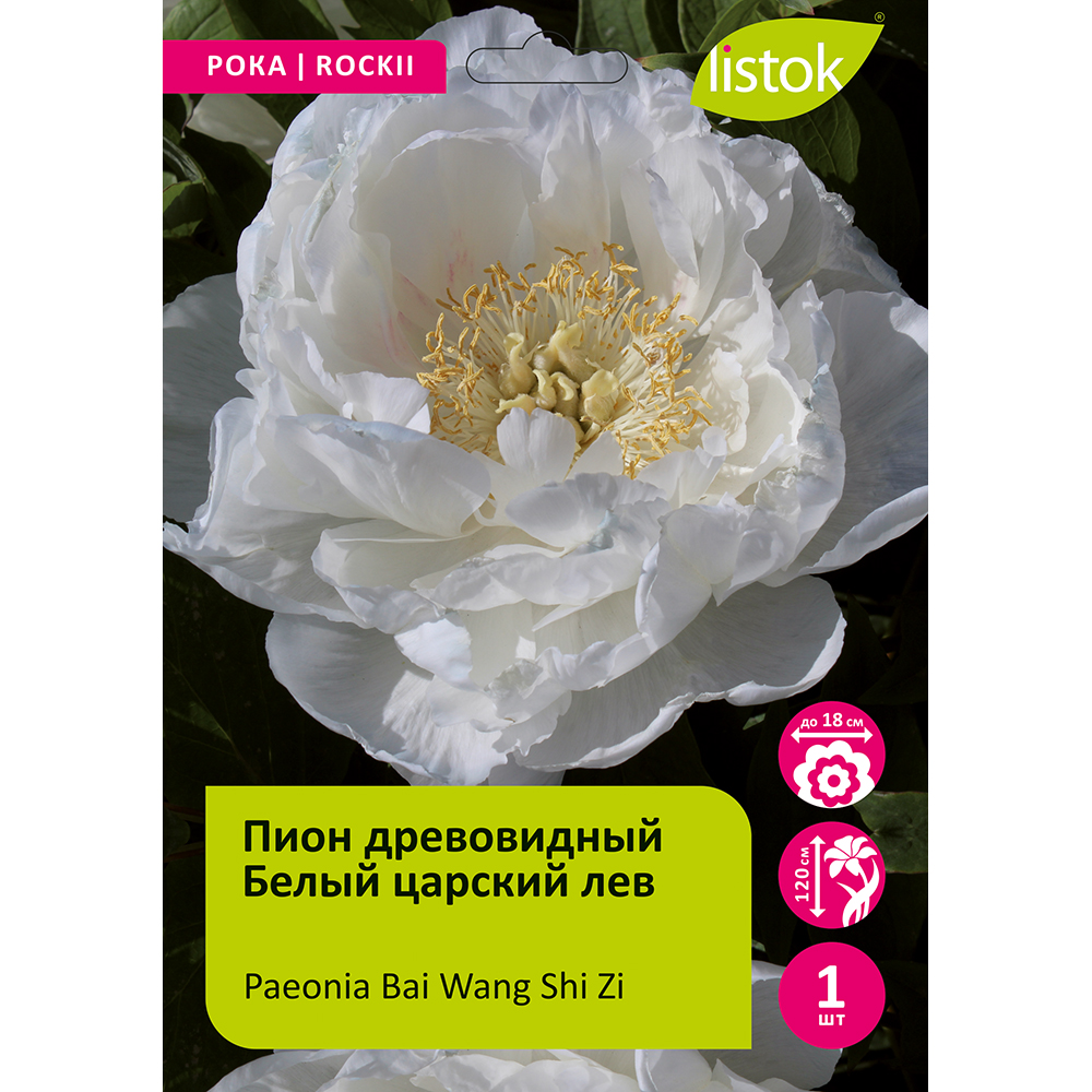 Пион древовидный Белый царский лев 1шт/Paeonia Bai Wang Shi Zi (Бай Ван Ши Цзы)