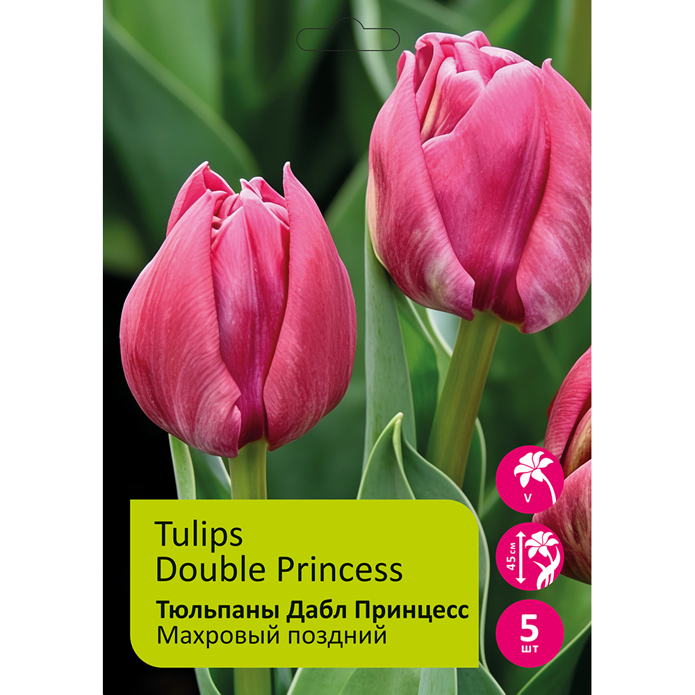 Тюльпаны Дабл Принцес 5шт 12/+Тюльпаны Дабл Принцес 5шт 12/+/Tulip Double Princess