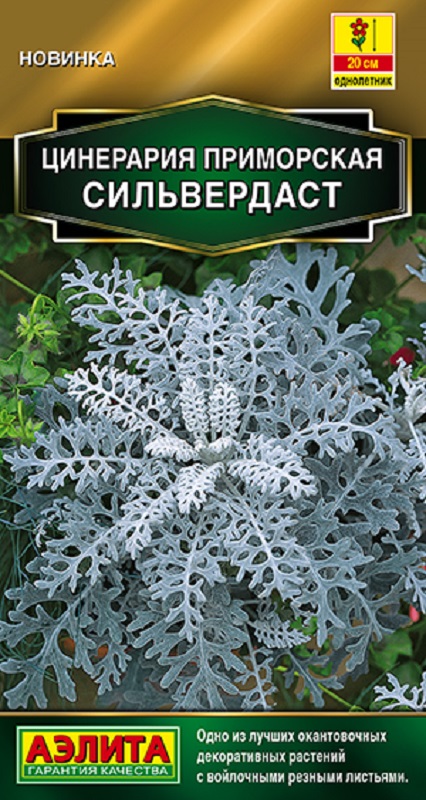 Цинерария Сильвердаст 0,05гр /10
