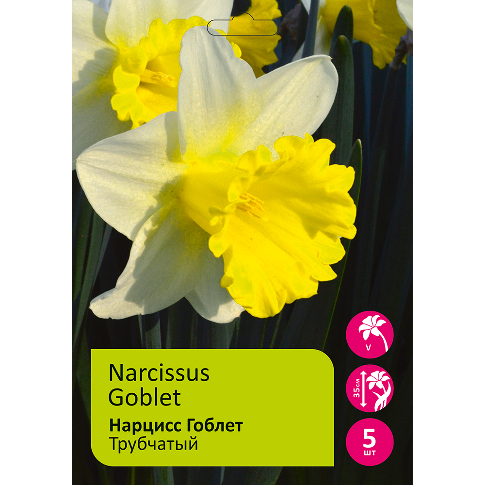 Нарциссы Гоблет трубчатый 5шт 14/16 / Narcissus Goblet 
