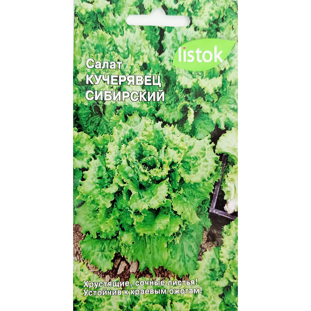 Салат Кучерявец Сибирский 0,3 гр /10