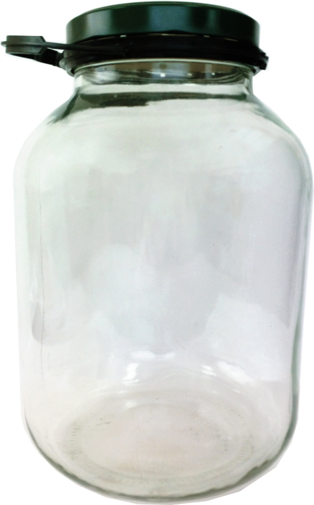 Стеклобанка Твист-Офф 5000 мл. д.110  /4 комплект :банка, крышка, кольцо с ручкой