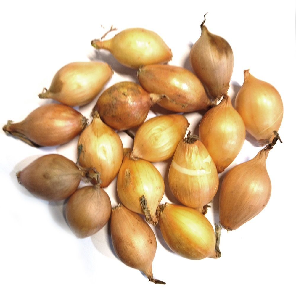 Лук-севок  Золотистый Семко F1 (21/24)  20кг +/-10%