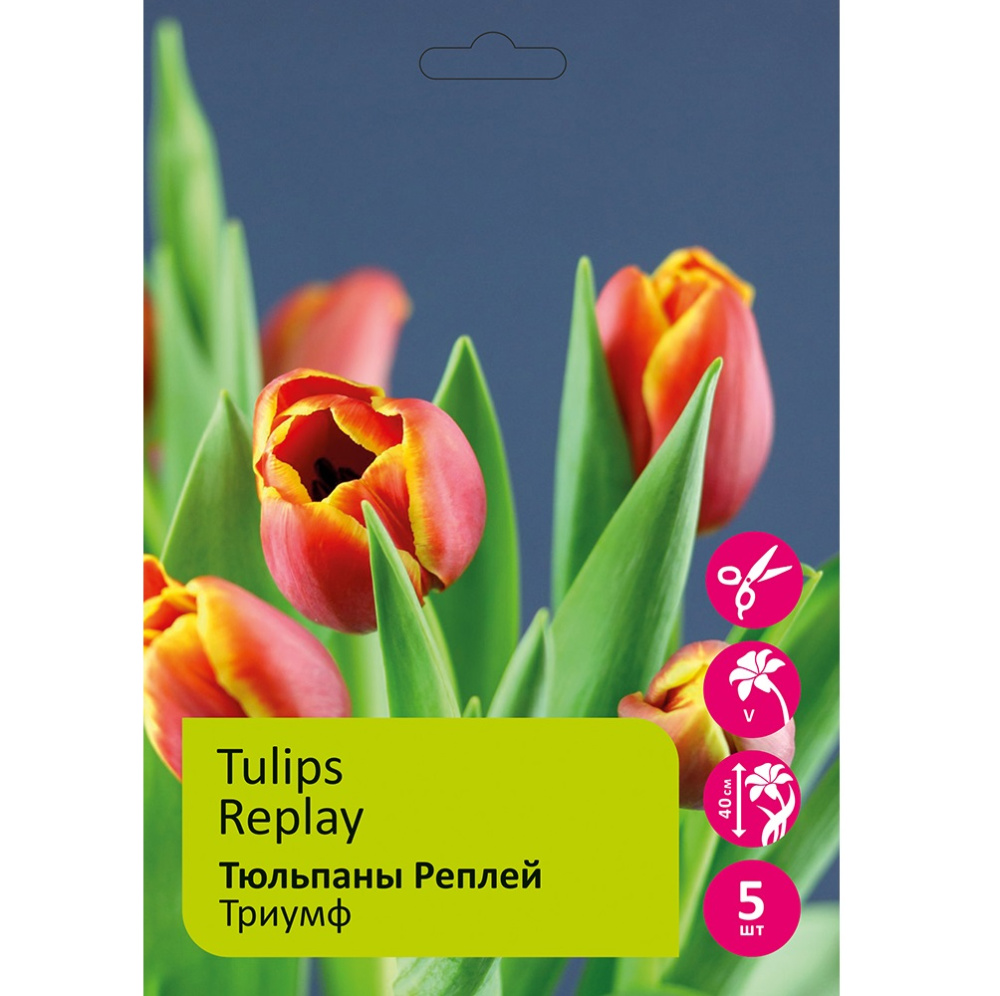 Тюльпаны Реплей 5шт 12/+/Tulip Replay