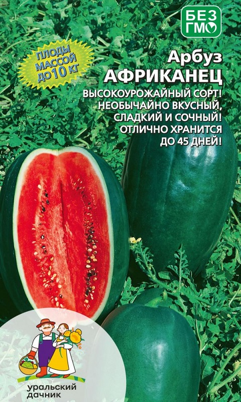 Арбуз Африканец  6шт/10