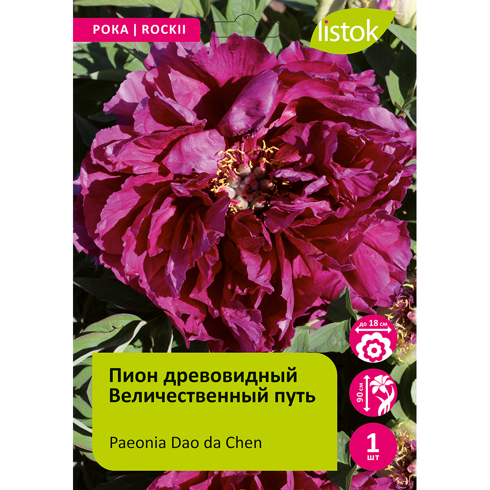 Пион древовидный Величественный путь 1шт/Paeonia Dao da Chen (Дао Да Чен)
