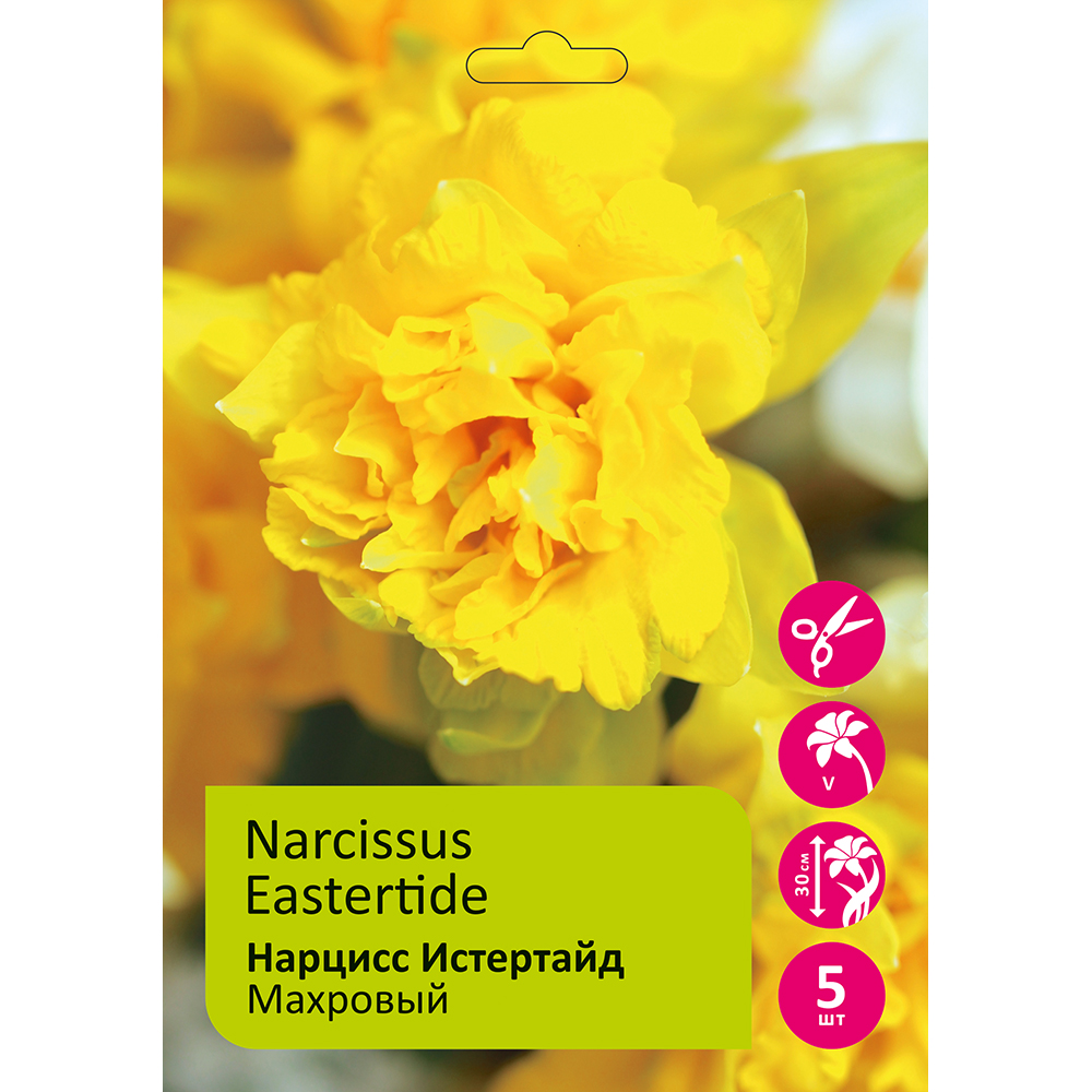 Нарциссы Истертайд махровый 5шт 14/16 / Narcissus Eastertide
