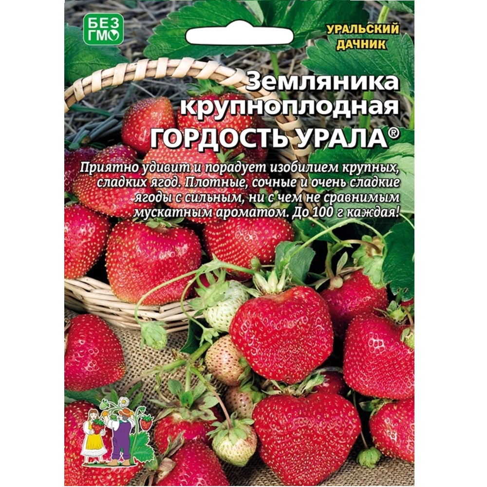 Земляника Гордость Урала крупноплодная  10 шт/10
