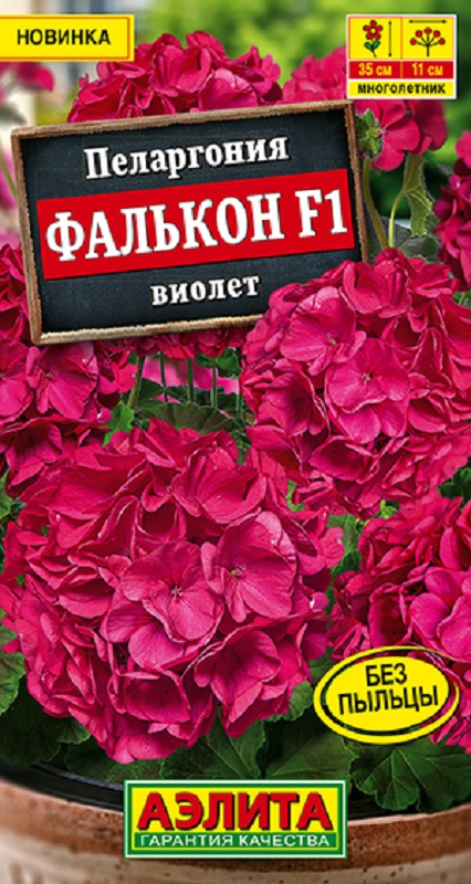 Пеларгония садовая Фалькон F1 виолет 4шт /10