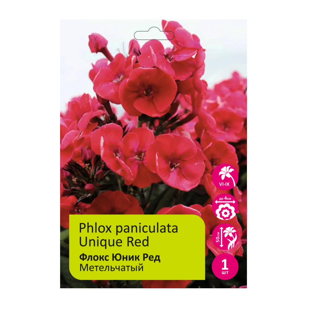 Флокс Юник Ред 1шт /Phlox Unique Red