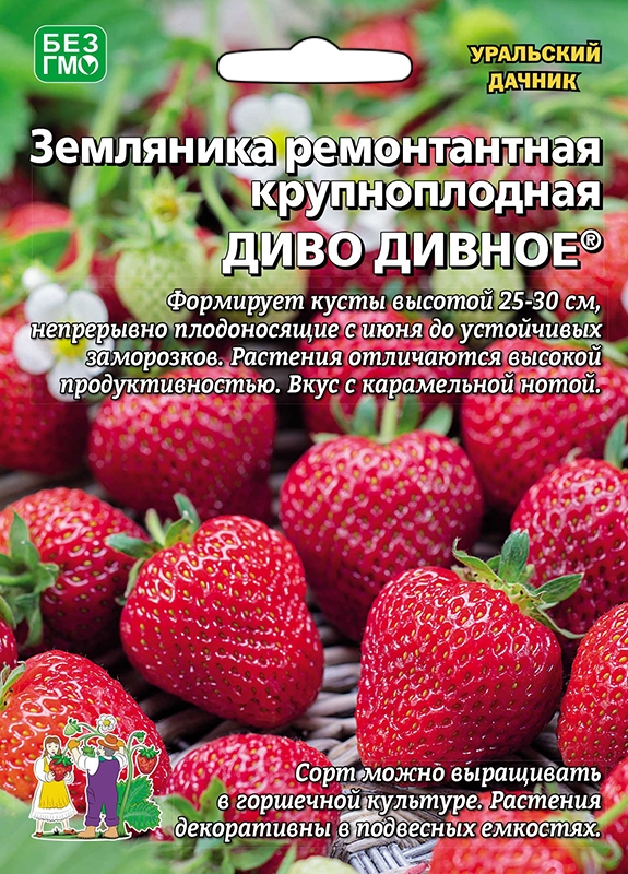 Земляника Диво дивное 10шт/10