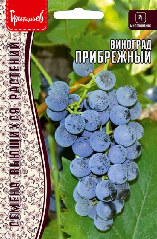 Виноград Прибрежный 5шт /10