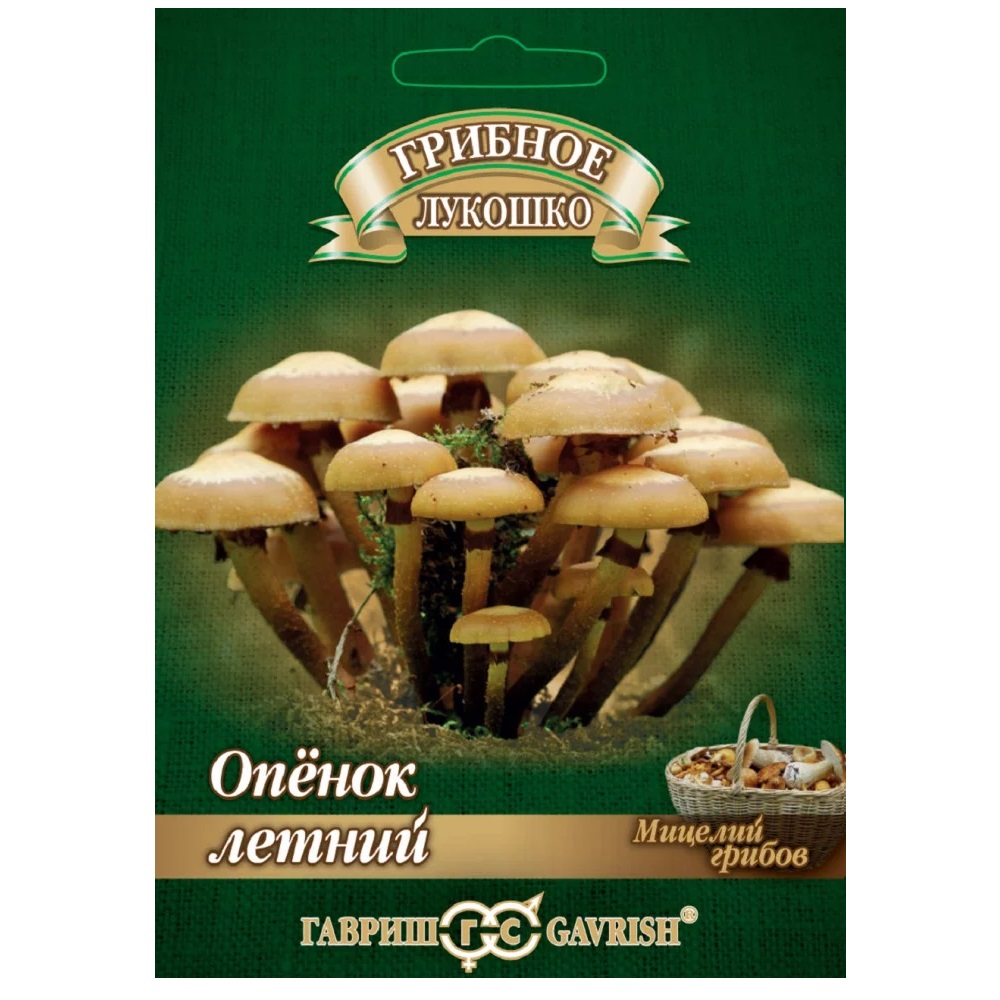 Грибы Опенок летний на древесной палочке  12шт/5/10