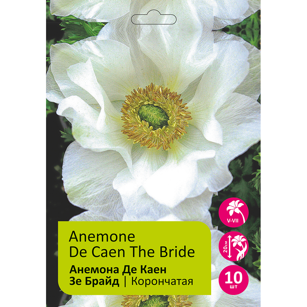 Анемона Де Каен зе Брайд 10шт 5/6/ Anemone De Caen The Bride 