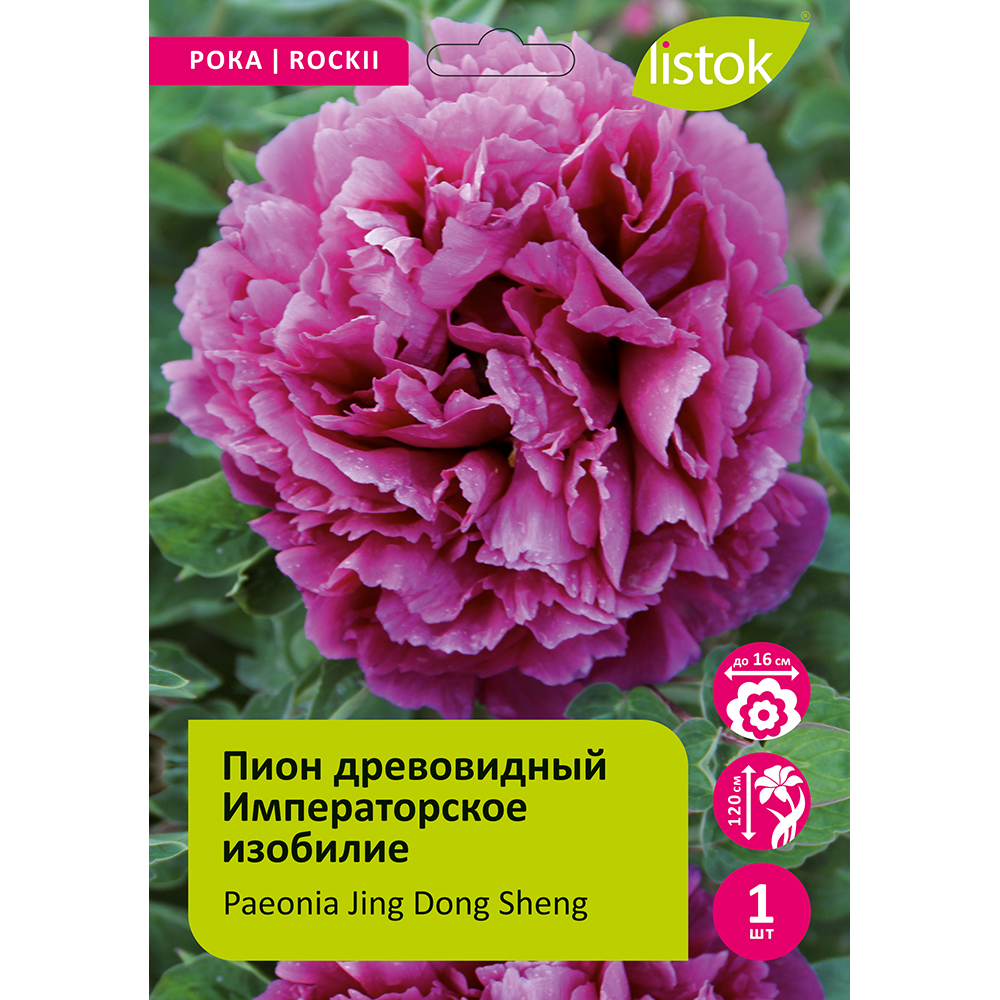 Пион древовидный Императорское изобилие 1шт/Paeonia Jing Dong Sheng (Цзин Донг Шэн)