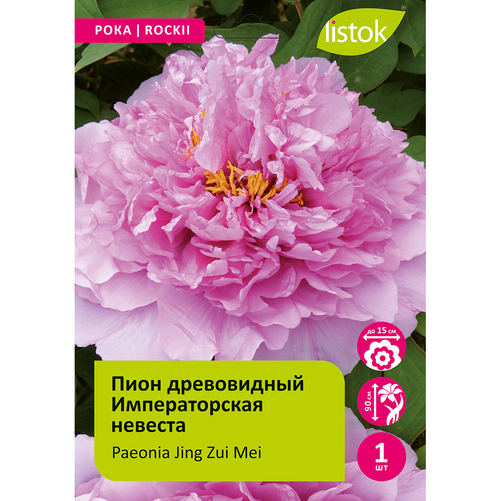 Пион древовидный Императорская невеста 1шт /Paeonia Jing Zui Mei (Цзин Цзуй Мэй)