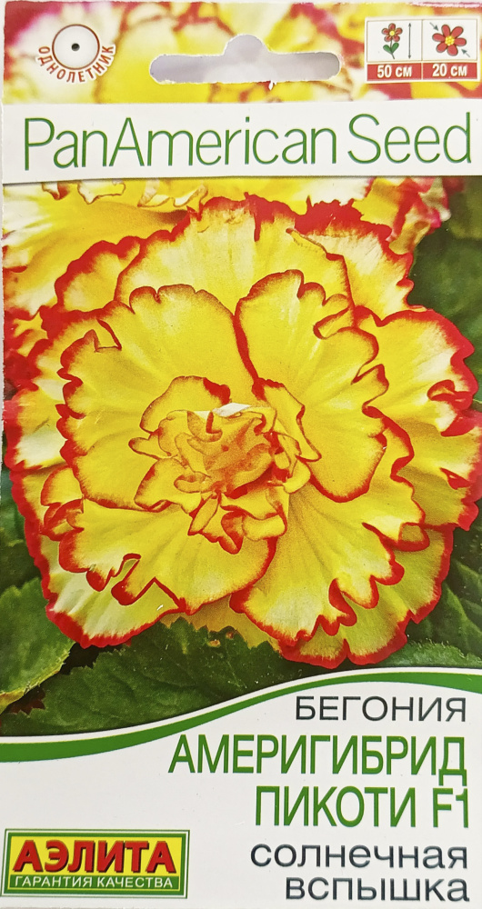 Бегония Америгибрид Пикоти F1 солнечная вспышка 5шт/10
