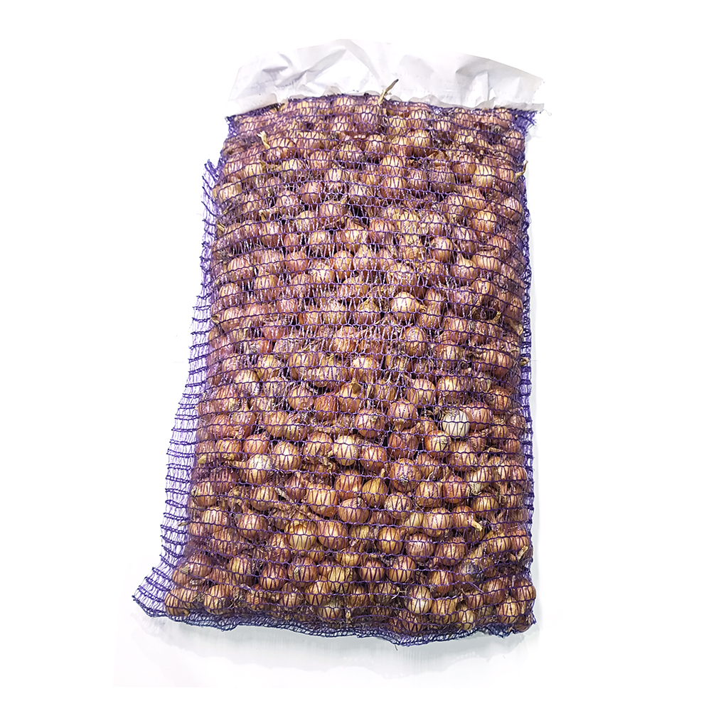 Лук-севок  Дедуля (21/24)  10кг +/-10%