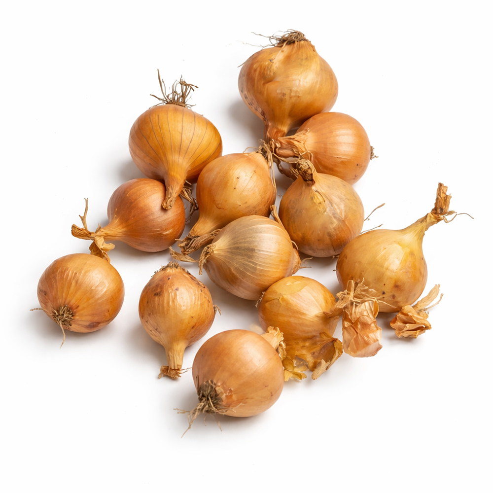 Лук-севок  Дедуля (21/24)  10кг +/-10%